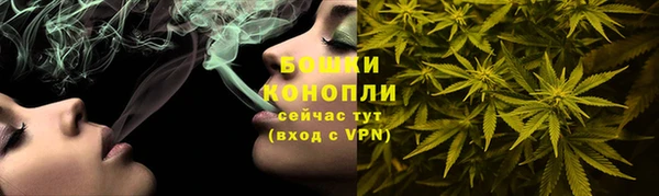 дмт Бородино