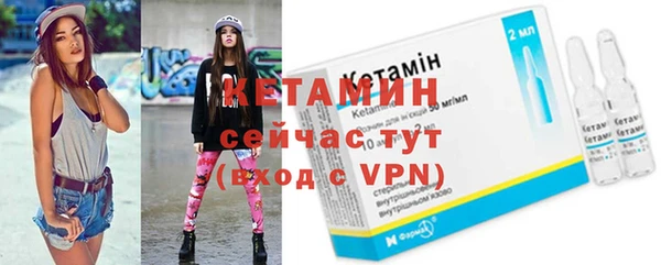 дмт Бородино