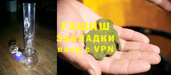 дмт Бородино