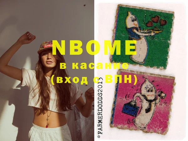 дмт Бородино