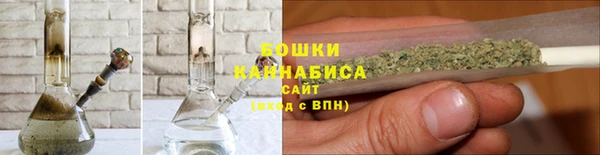 дмт Бородино