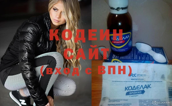 дмт Бородино