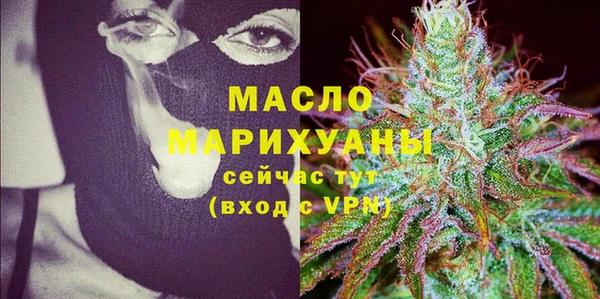 дмт Бородино