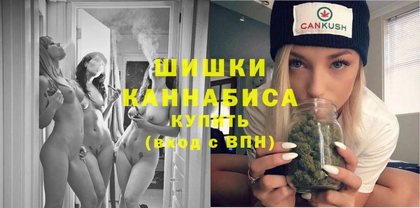 дмт Бородино