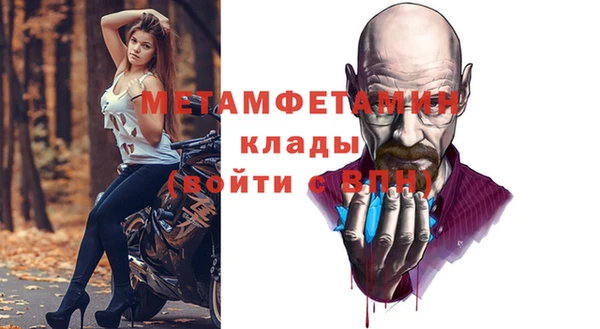 дмт Бородино