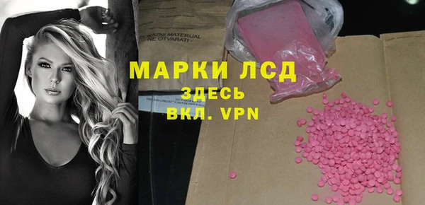 дмт Бородино