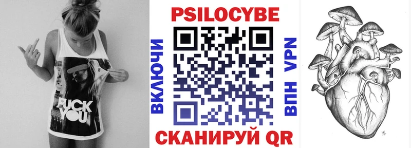 Псилоцибиновые грибы MAGIC MUSHROOMS где можно купить Данков